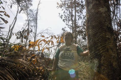 Brazil slows Amazon deforestation, but in Chico Mendes’ homeland, it risks being too late
